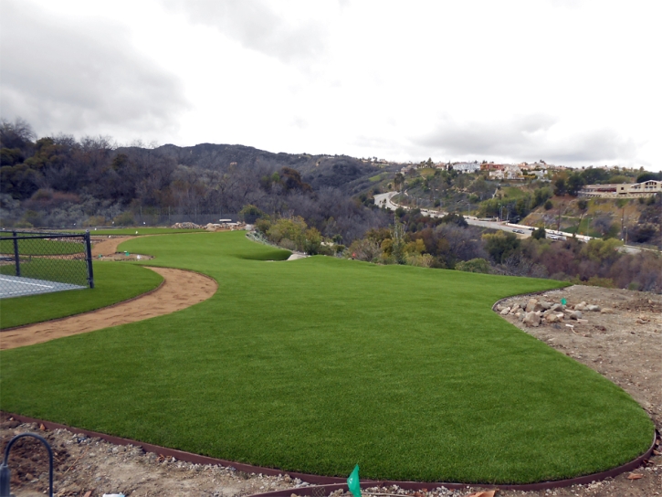 Synthetic Lawn Fairview, California Lawn And Landscape