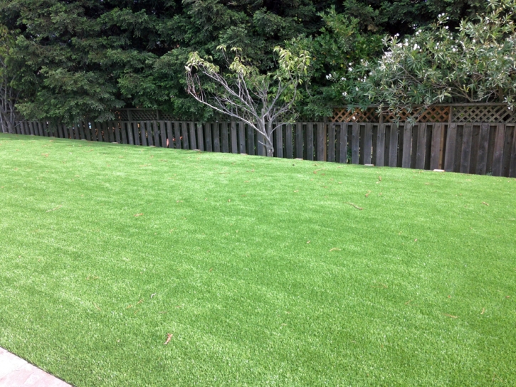 Synthetic Lawn Hopland, California Rooftop, Backyard Design
