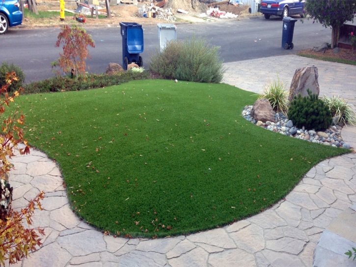 Synthetic Lawn Placerville, California Landscaping