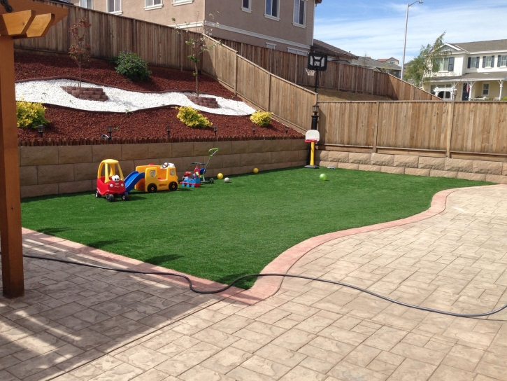 Synthetic Lawn Shackelford, California Indoor Playground, Backyard Designs