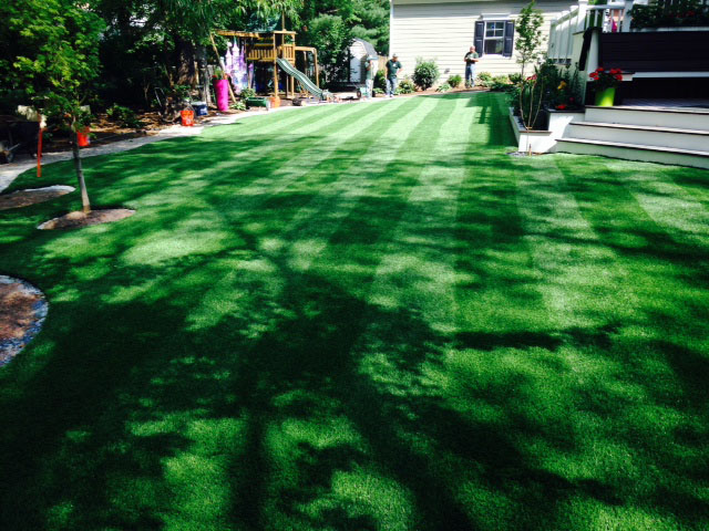 Synthetic Turf Ceres, California Rooftop, Beautiful Backyards