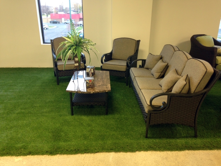 Synthetic Turf Georgetown, California Design Ideas, Commercial Landscape