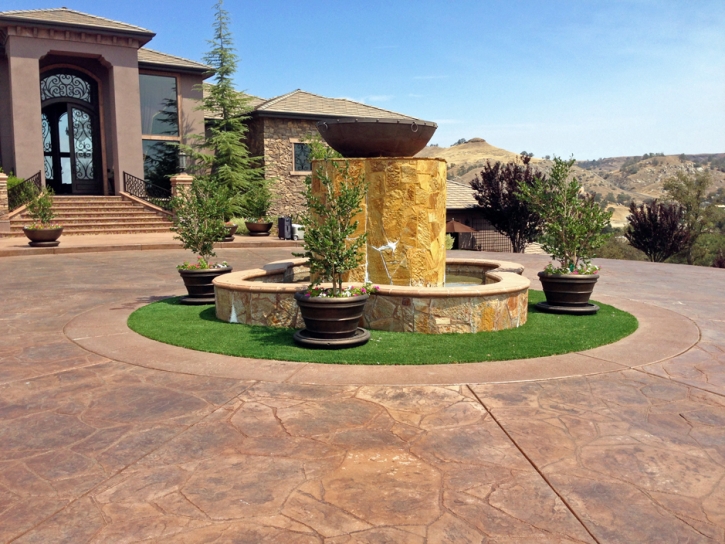 Synthetic Turf Loyola, California Rooftop, Front Yard Ideas