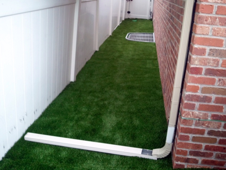 Synthetic Turf Moss Beach, California Rooftop, Backyard Landscaping