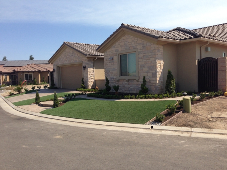 Synthetic Turf Newman, California Design Ideas, Front Yard Landscaping Ideas
