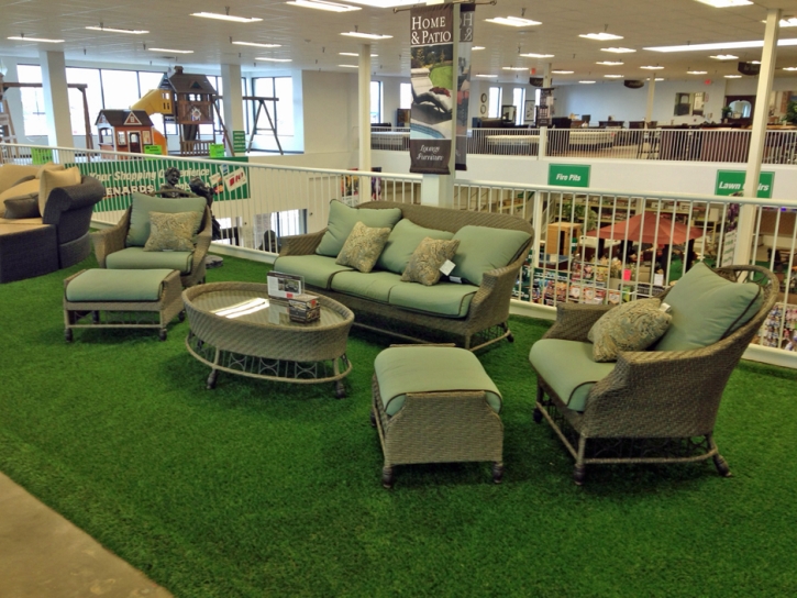 Synthetic Turf Pacheco, California Landscape Ideas, Commercial Landscape
