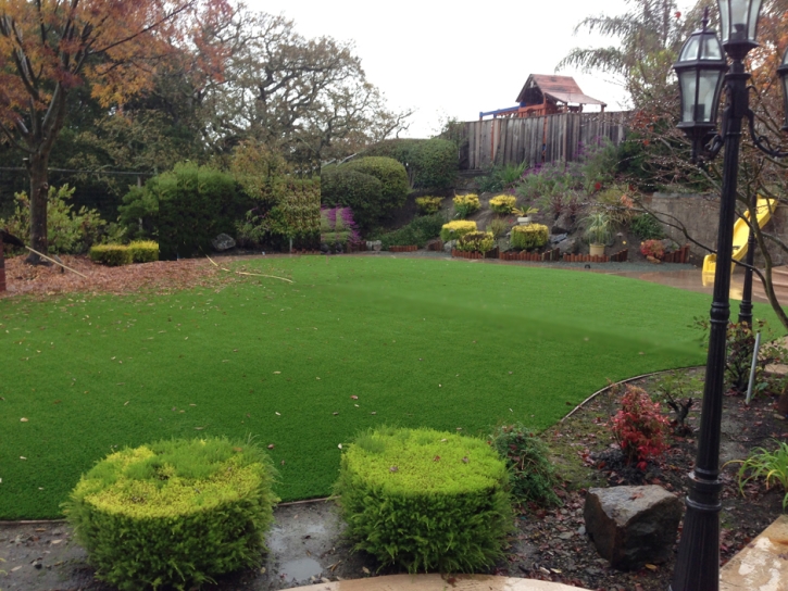 Synthetic Turf Supplier Fair Oaks, California Landscaping, Backyard