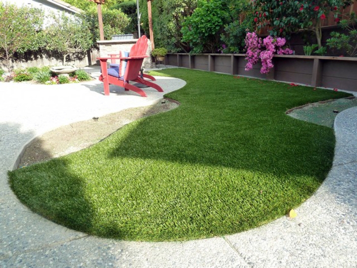 Synthetic Turf Supplier Fairview, California Artificial Turf For Dogs, Backyard Design