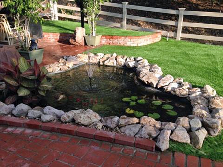 Synthetic Turf Supplier Green Valley, California Landscaping Business, Swimming Pools