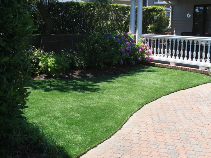 Synthetic Turf Supplier Whitehawk, California Indoor Dog Park, Front Yard Landscaping Ideas