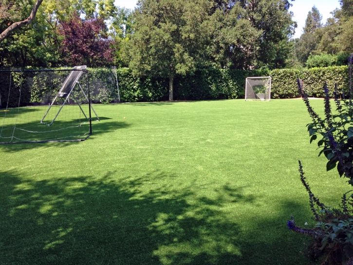 Synthetic Turf Walnut Creek, California High School Sports, Backyard