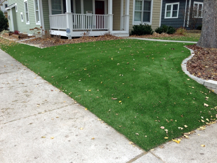 Turf Grass Arden-Arcade, California City Landscape, Front Yard Landscape Ideas