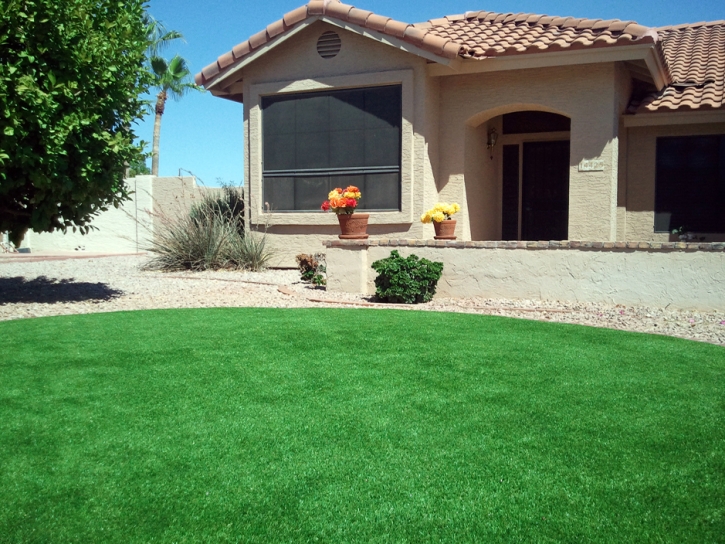 Turf Grass Elk Grove, California Rooftop, Front Yard Landscaping Ideas