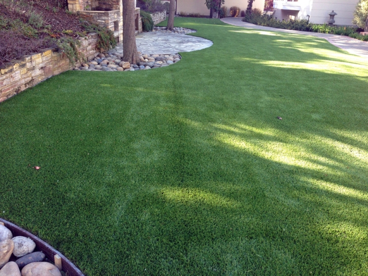 Turf Grass Gold River, California Garden Ideas, Backyard Landscaping