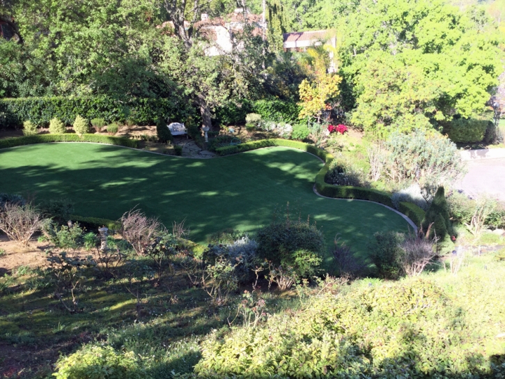 Turf Grass Modesto, California Lawns, Backyard Makeover