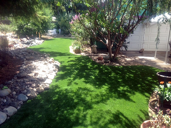 Turf Grass Nicolaus, California Landscape Ideas, Backyard