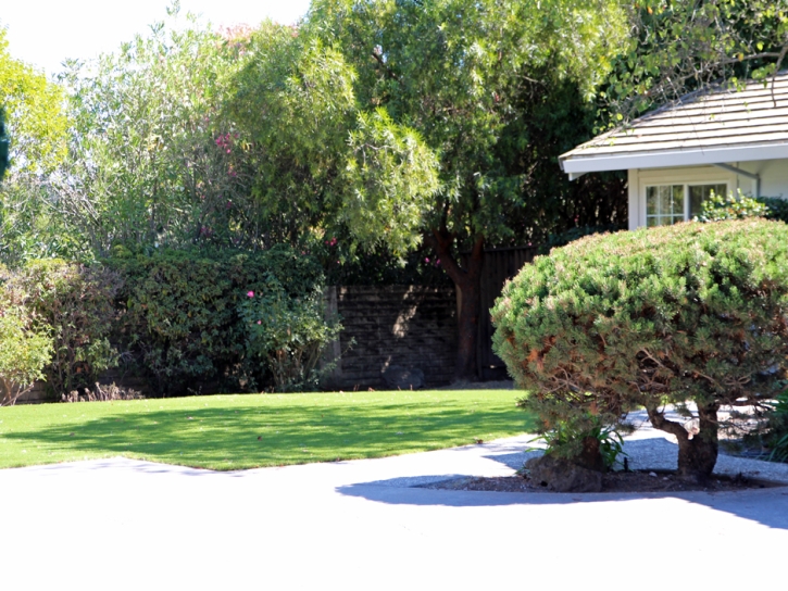 Turf Grass River Pines, California Lawn And Garden, Front Yard Landscaping Ideas