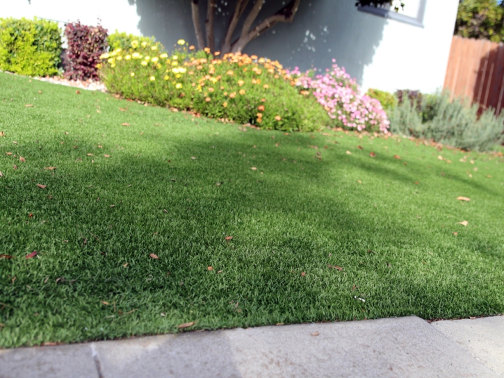Turf Grass Stockton, California Garden Ideas, Front Yard Landscaping
