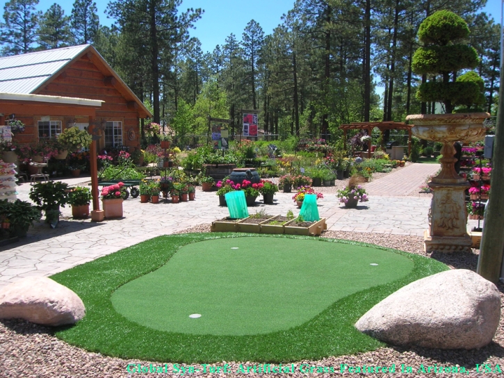 Turf Grass West Sacramento, California Golf Green, Backyard Landscape Ideas