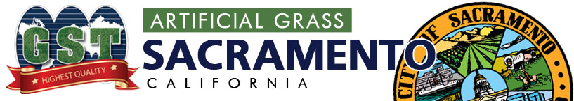 Artificial Grass Sacramento, California